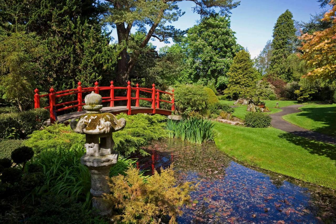 نيوبريدج The Curragh Country House Accommodation المظهر الخارجي الصورة