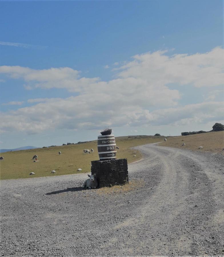 نيوبريدج The Curragh Country House Accommodation المظهر الخارجي الصورة