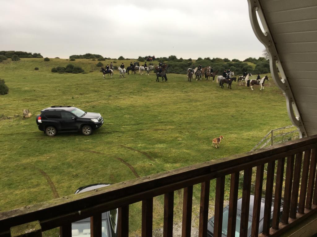 نيوبريدج The Curragh Country House Accommodation المظهر الخارجي الصورة