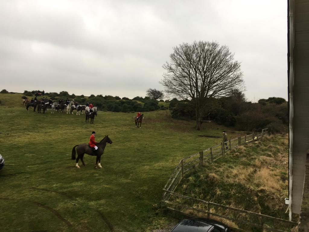 نيوبريدج The Curragh Country House Accommodation المظهر الخارجي الصورة